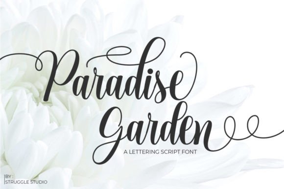 Elevate Your Editorial Design with Paradise Garden Font