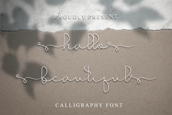 Enhance Your Brand with Hallo Beautiful Font