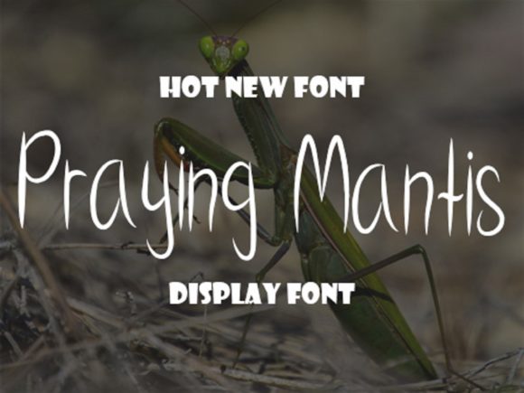 Praying Mantis: A Handwritten Font for Editorial Elegance