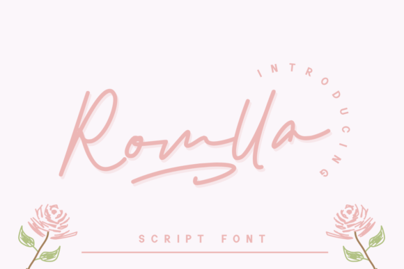 Romlla: A Script Amp Font for Creative Projects