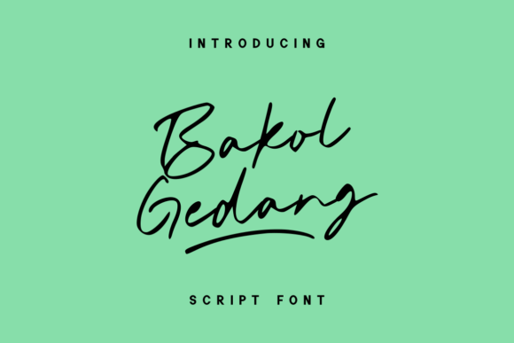 Transform Your Brand with Bakol Gedang: A Quirky Handwritten Font