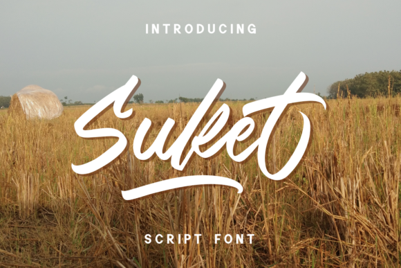 Unveiling Suket: A Versatile Script Font for Creative Campaigns